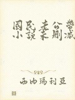 国民老公带回家小说未删减