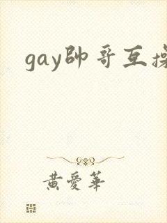 gay帅哥互操