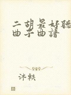 二胡最好听十首曲子曲谱