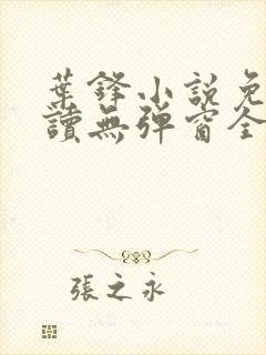 叶锋小说免费阅读无弹窗全文