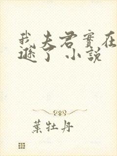 我夫君实在太谦逊了 小说封面