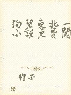 狗儿东北一家人小说免费阅读封面