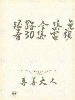 归路全集免费观看30集电视剧封面