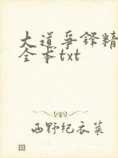 大道争锋精校版全本txt封面