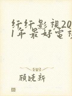 纤纤影视2021年最好电视剧功