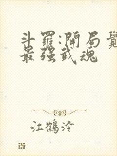 斗罗:开局觉醒最强武魂