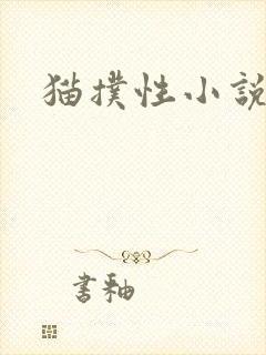 猫扑性小说封面