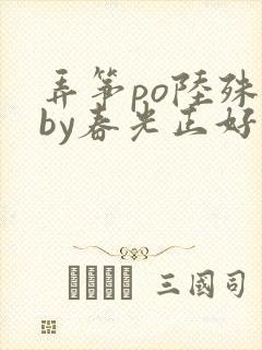 弄筝po陆殊词by春光正好封面