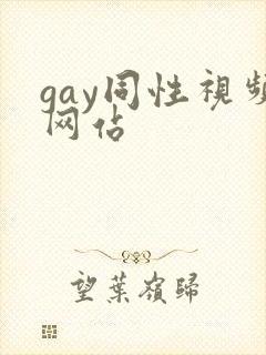 gay同性视频网站
