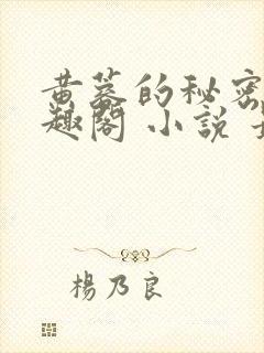 黄蓉的秘密 笔趣阁 小说 最新章节在线阅读