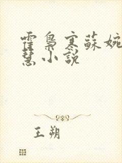 霍枭寒苏婉苏晓慧小说