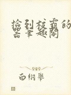 捡到校霸的遥控器笔趣阁