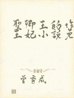 圣卿王的作妖小王妃小说免费阅读