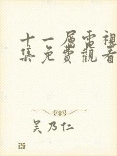 十一层电视剧全集免费观看