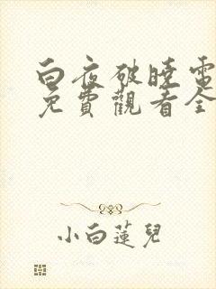 白夜破晓电视剧免费观看全集高清版