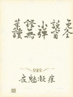 叶锋小说免费阅读无弹窗全文