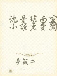 沈爱玥南宫瑾诺小说免费阅读封面