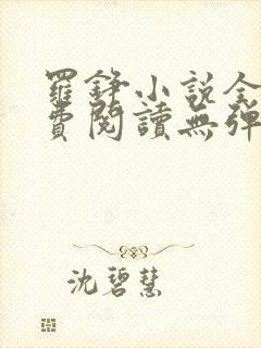 罗铮小说全文免费阅读无弹窗