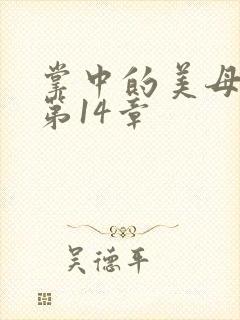 掌中的美母版主第14章