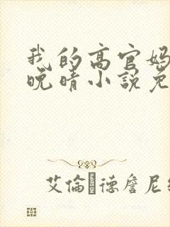 我的高官妈妈苏晚晴小说免费阅读