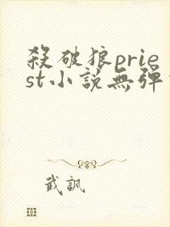 杀破狼priest小说无弹窗无广告