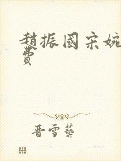 赵振国宋婉清免费封面