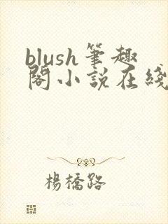 blush笔趣阁小说在线阅读