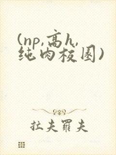 (np,高h,纯肉校园)