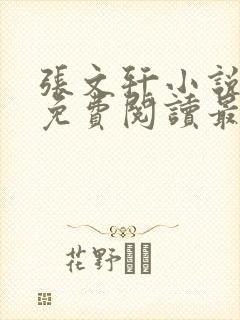 张文轩小说全文免费阅读最新章节封面