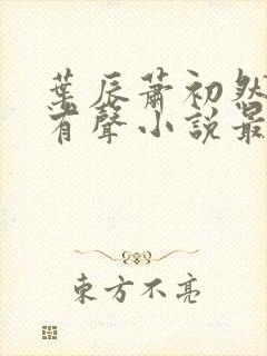 叶辰萧初然在线有声小说最新章节封面