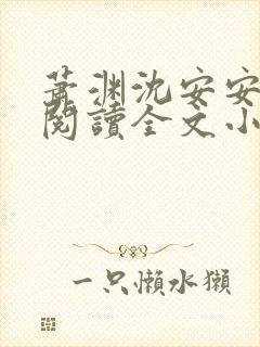 萧渊沈安安免费阅读全文小说封面