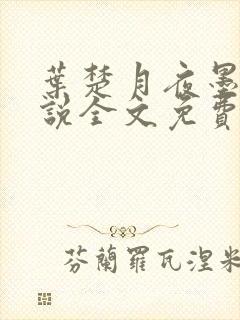 叶楚月夜墨寒小说全文免费最新