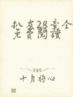 扒灰28章全部免费阅读封面