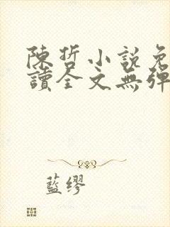 陈哲小说免费阅读全文无弹窗