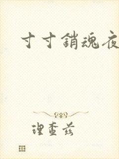 寸寸销魂夜春光