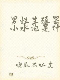 男性生殖器上长小水泡是什么病封面