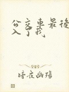 公交车最后一排入了我