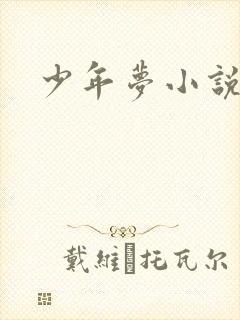少年梦小说