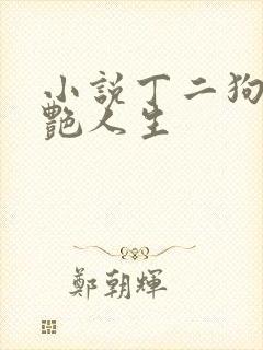 小说丁二狗的猎艳人生封面