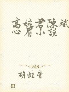 高婉君陈斌和赵心眉小说