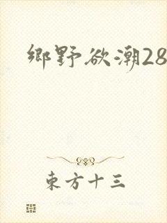 乡野欲潮28章