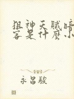 狙神天赋暗影刺客是什么小说