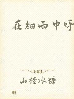 在细雨中呼喊