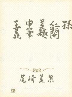 王申美红孙倩高义笔趣阁