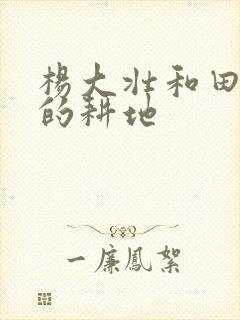 杨大壮和田桂花的耕地