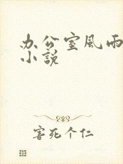 办公室风雨完整小说封面