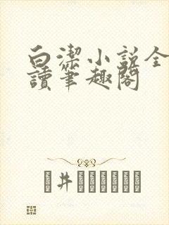 白洁小说全文阅读笔趣阁封面