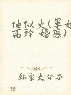 他似火(军婚 高干 婚恋)