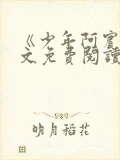 《少年阿宾》全文免费阅读封面