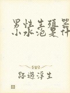 男性生殖器上有小水泡是什么原因